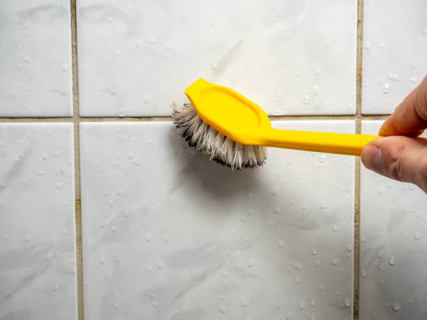Best Black Mold Remediation in New Whiteland, IN