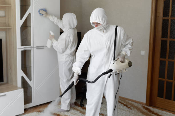 Best White Mold Remediation in New Whiteland, IN