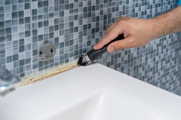 Best Preventive Mold Services in New Whiteland, IN